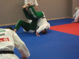 Bilder aus 2011